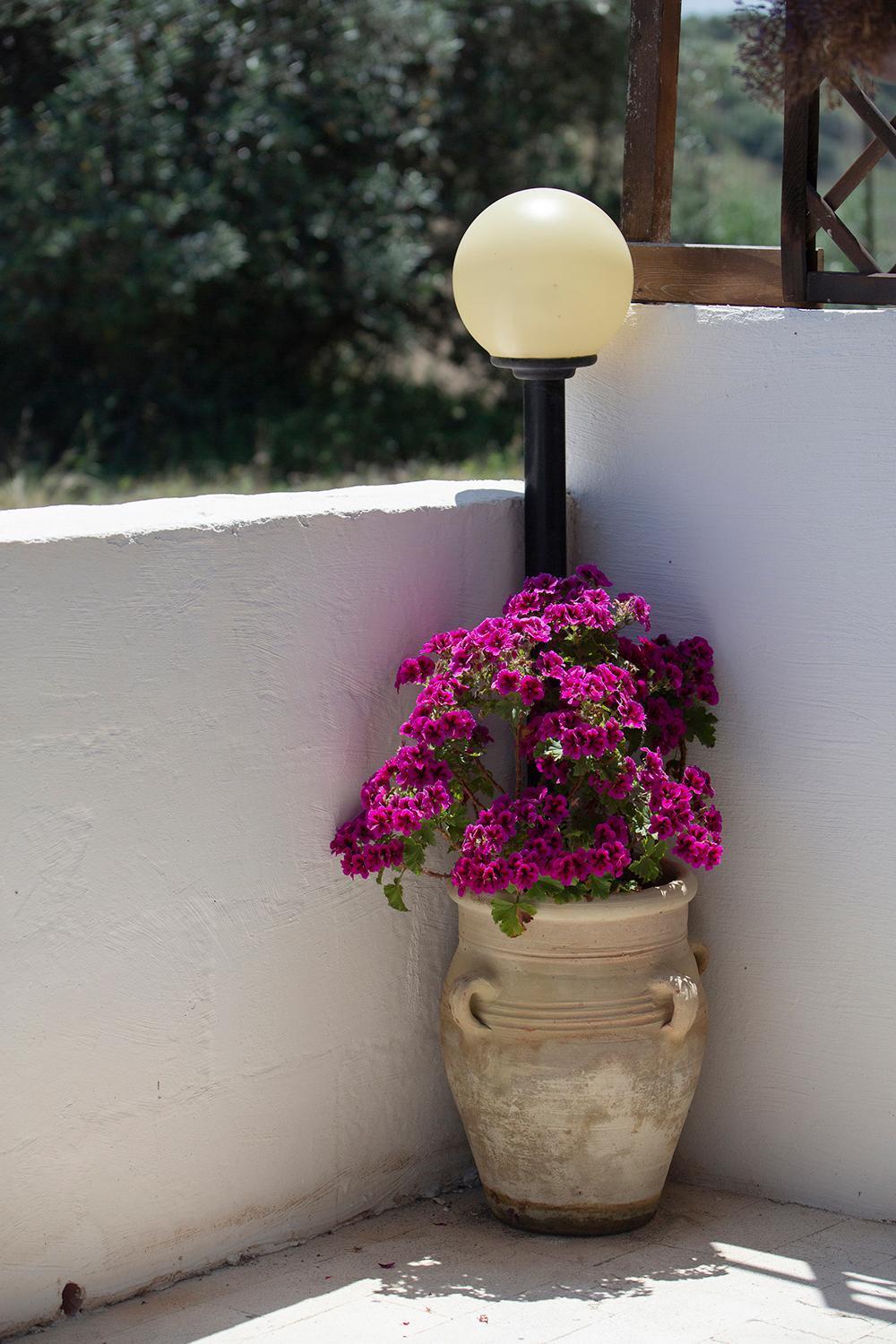 Villa Alessandro Castellammare del Golfo Dış mekan fotoğraf